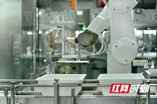 搶占智高點 智能制造驅動寧鄉經開區高質量發展，智能機器人研發成引擎