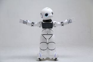 搶錢時(shí)機(jī) 國家重拳出擊，撥6億推動(dòng)智能機(jī)器人市場研發(fā)騰飛