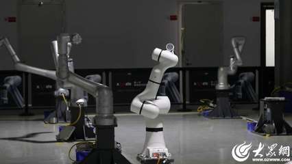 珞石機(jī)器人 以核心技術(shù)領(lǐng)跑，驅(qū)動(dòng)千行百業(yè)智能制造升級