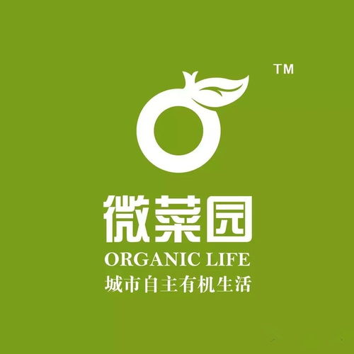 北京微菜園與微錦網(wǎng)絡(luò) 數(shù)字時(shí)代的綠意創(chuàng)新
